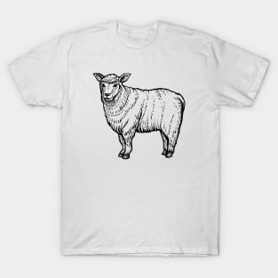 Sheep Hand Drawn T-Shirt